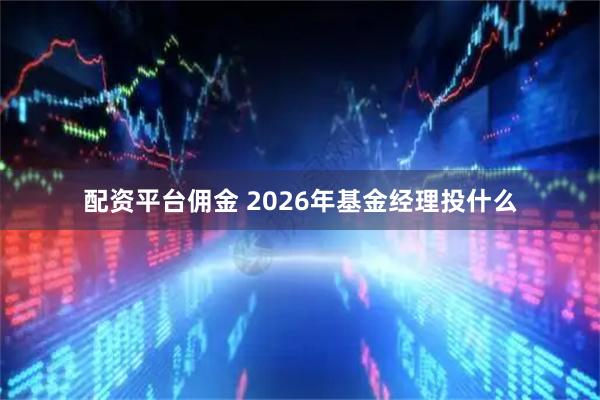 配资平台佣金 2026年基金经理投什么