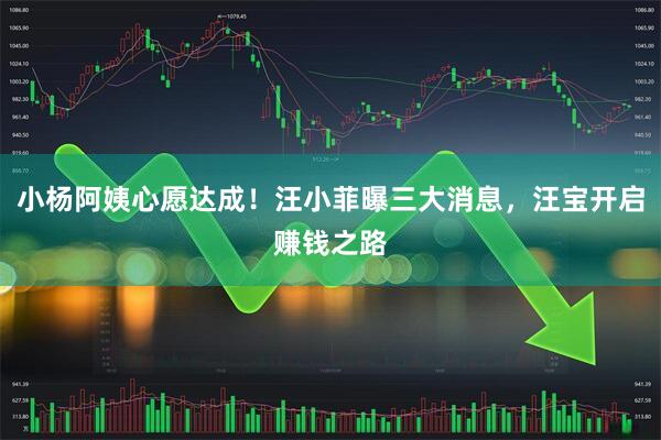 小杨阿姨心愿达成！汪小菲曝三大消息，汪宝开启赚钱之路