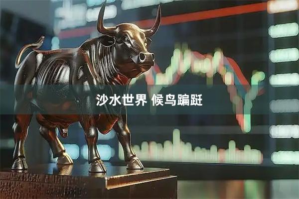 沙水世界 候鸟蹁跹